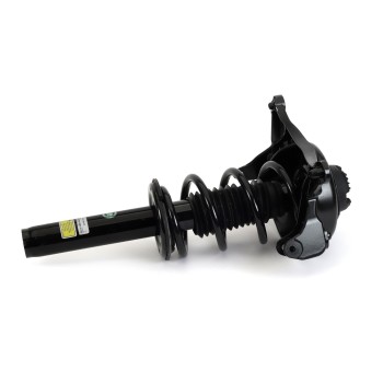 Suspension Strut and Coil Spring Assembly