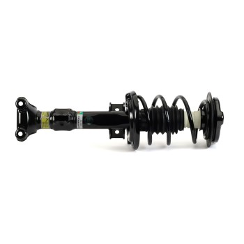 Suspension Strut and Coil Spring Assembly
