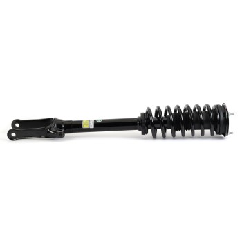 Suspension Strut and Coil Spring Assembly
