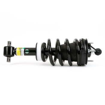 Suspension Strut and Coil Spring Assembly