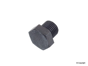 Engine Oil Drain Plug