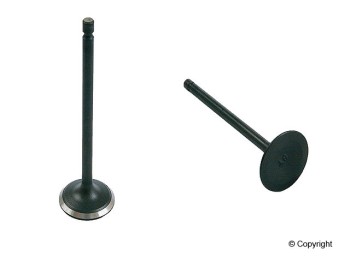 Engine Intake Valve