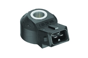Ignition Knock (Detonation) Sensor
