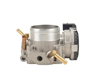 Fuel Injection Throttle Body Assembly