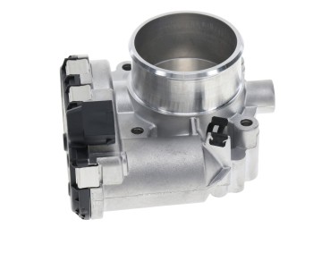 Fuel Injection Throttle Body Assembly