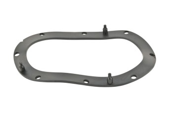 Fuel Pump Tank Seal