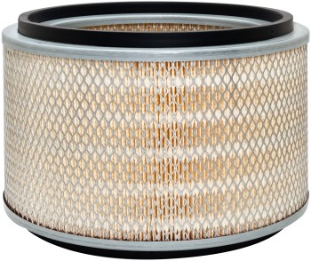 Baldwin Filters PA2596