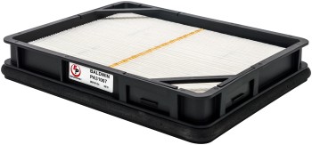 Baldwin Filters PA31007