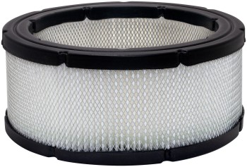 Baldwin Filters PA3901