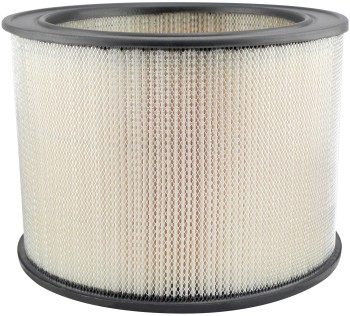 Baldwin Filters PA638