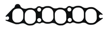 Fuel Injection Plenum Gasket