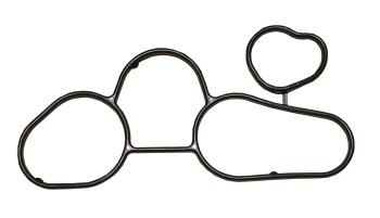 Engine Oil Cooler Gasket