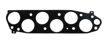 Fuel Injection Plenum Gasket