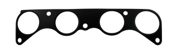 Fuel Injection Plenum Gasket