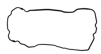 Engine Oil Pan Gasket