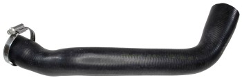 Radiator Coolant Hose