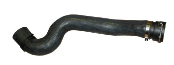 Radiator Coolant Hose