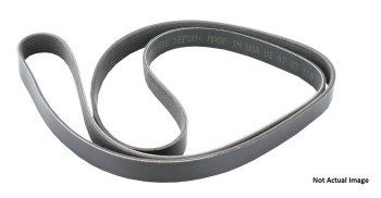 Serpentine Belt