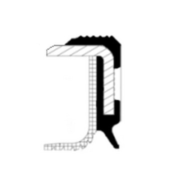 Engine Crankshaft Seal