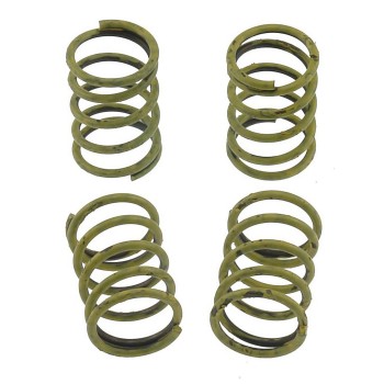 Drum Brake Shoe Hold Down Spring