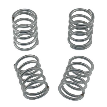 Drum Brake Shoe Hold Down Spring