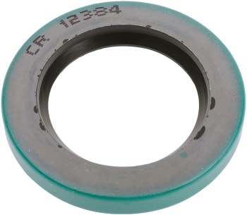SKF-CHICAGO RAWHIDE 12384