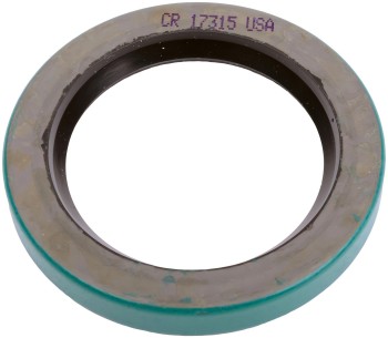 SKF-CHICAGO RAWHIDE 17315