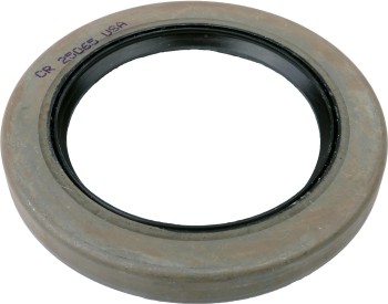 SKF-CHICAGO RAWHIDE 25065