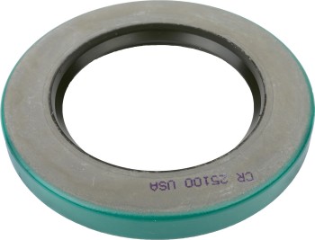 SKF-CHICAGO RAWHIDE 25100