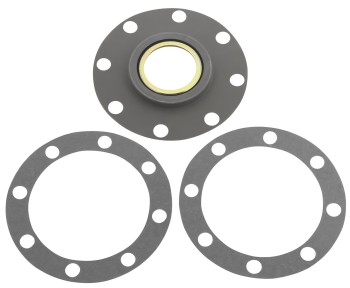 SKF-CHICAGO RAWHIDE 25160