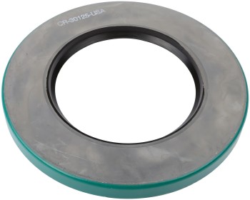 SKF-CHICAGO RAWHIDE 30125