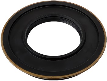 SKF-CHICAGO RAWHIDE 33254