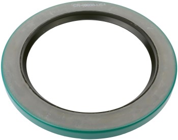 SKF-CHICAGO RAWHIDE 40036