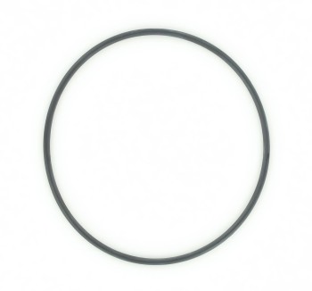 Wheel Bearing O-Ring