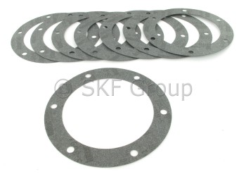 SKF-CHICAGO RAWHIDE 450293