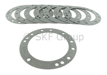 SKF-CHICAGO RAWHIDE 450782