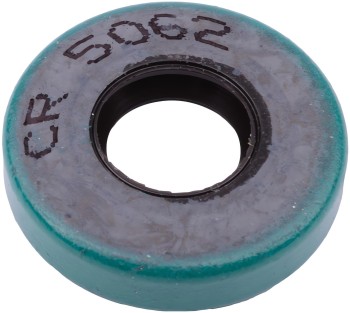 SKF-CHICAGO RAWHIDE 5062