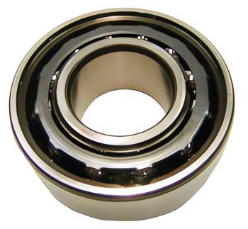 Differential Pinion Bearing