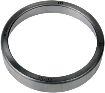 Axle Differential Bearing Race