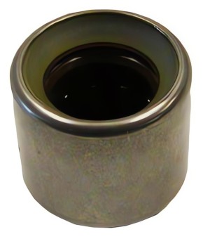 Clutch Pilot Bearing