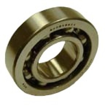 Wheel Bearing