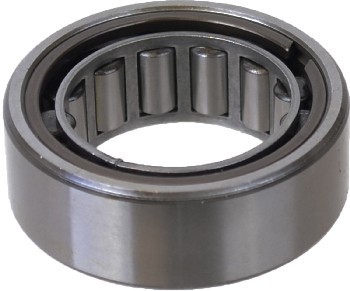 Differential Pinion Pilot Bearing