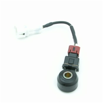 Ignition Knock (Detonation) Sensor