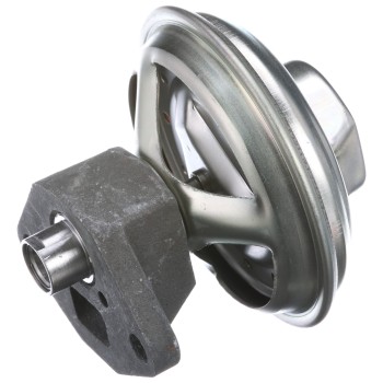 Exhaust Gas Recirculation (EGR) Valve