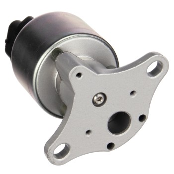 Exhaust Gas Recirculation (EGR) Valve