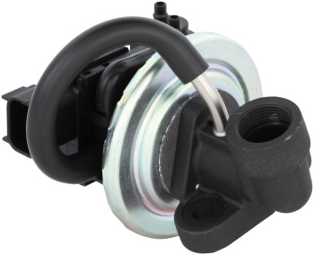 Exhaust Gas Recirculation (EGR) Valve