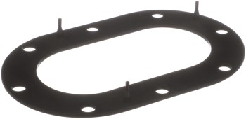Fuel Pump Tank Seal