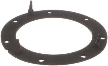 Fuel Pump Tank Seal