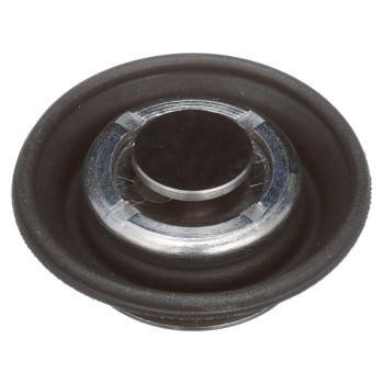 Fuel Injection Pressure Regulator