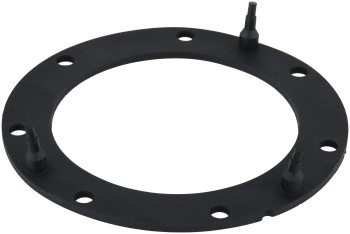 Fuel Pump Tank Seal